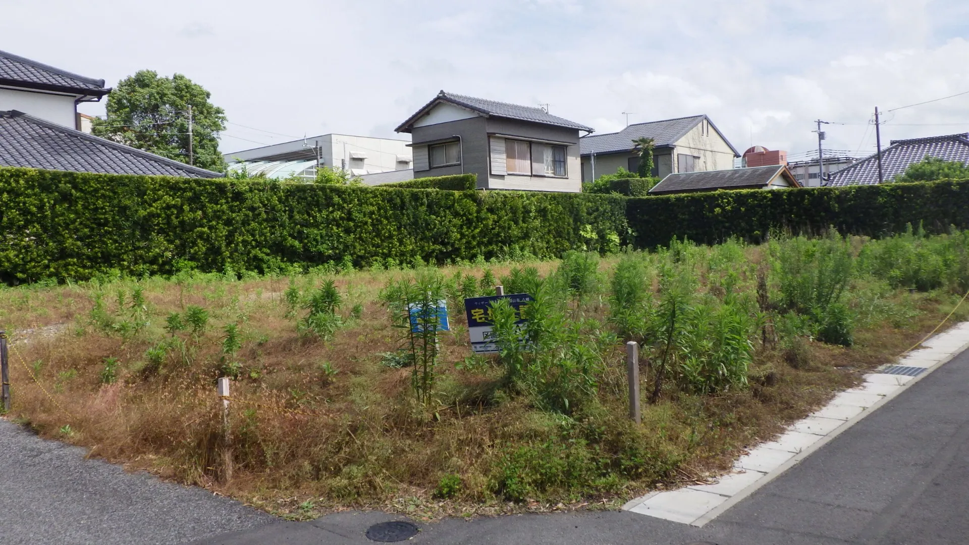 生活に便利な住宅地。