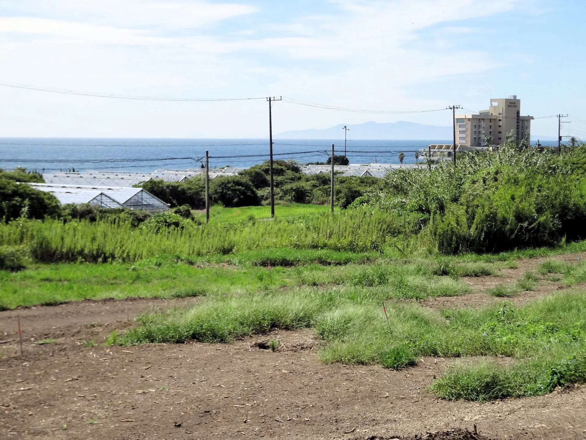 海を遠望し大島望む広大な土地。