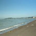 当社の特徴
